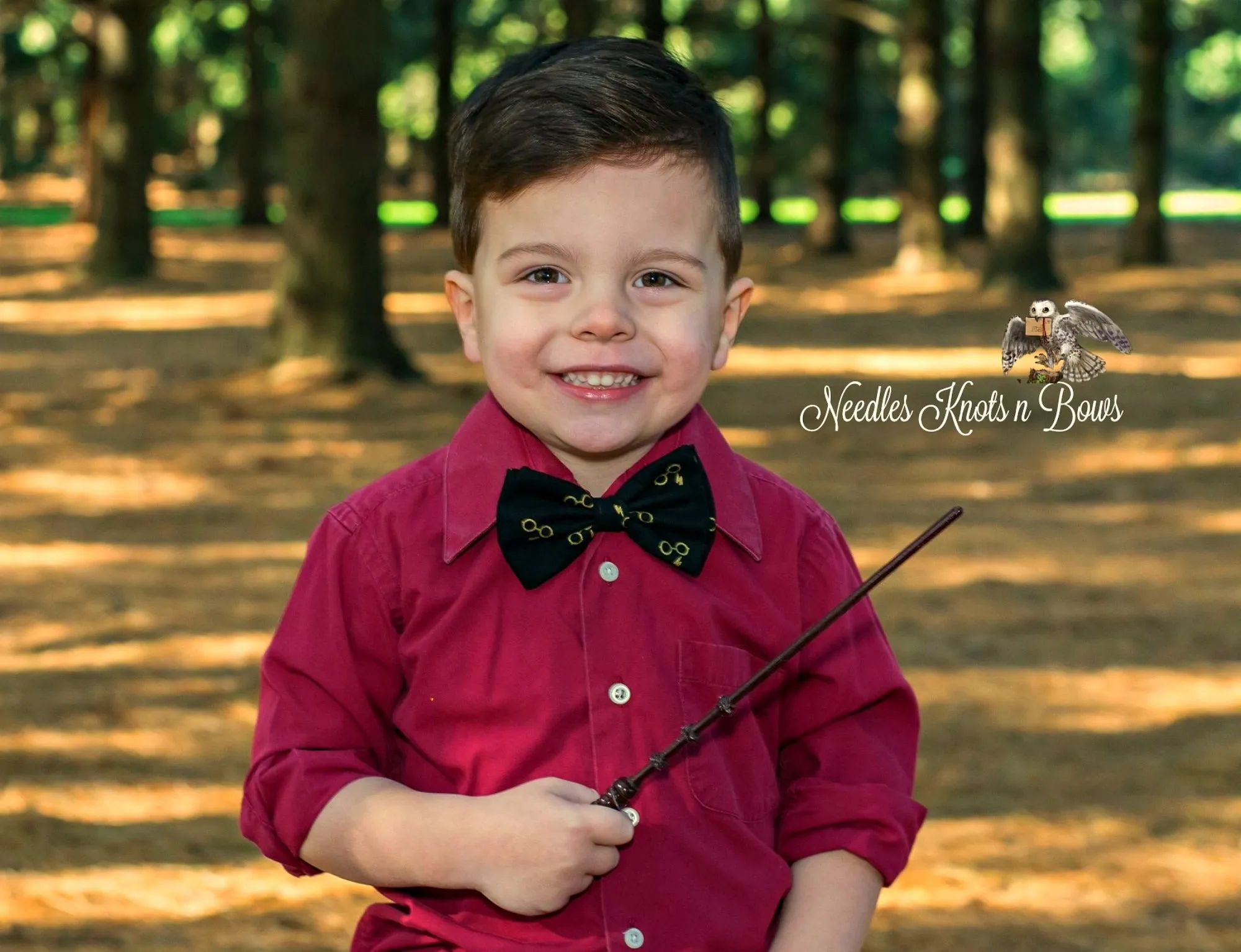 Harry Potter Glasses and Lightning Bolt Bow Tie